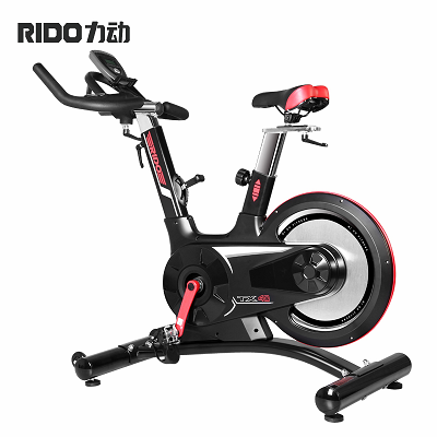力動RIDO TX40動感單車家用靜音室內健身車運動單車